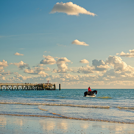 Un Cheval et la Mer