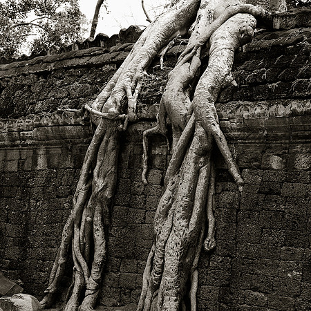 Temples d'Angkor 24