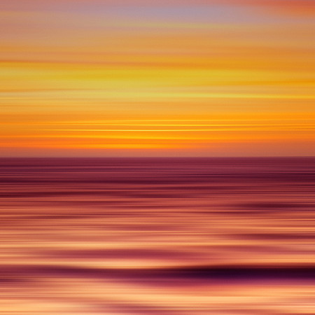 IN COLORS XIV