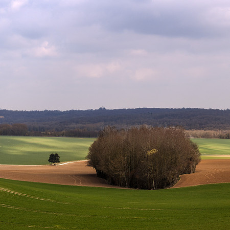 Bosquet de Jumigny I