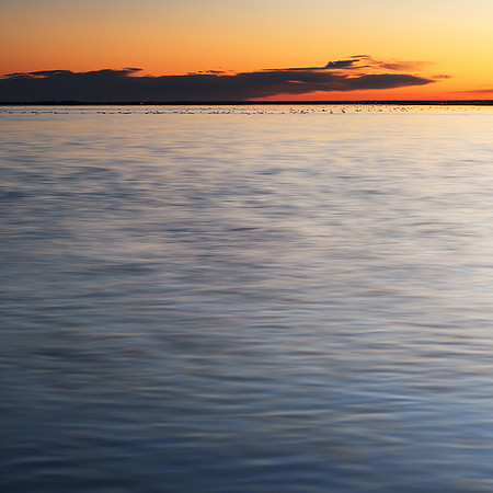 Le passage du Gois