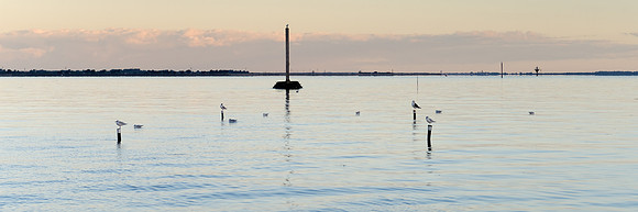 Vue sur le Gois