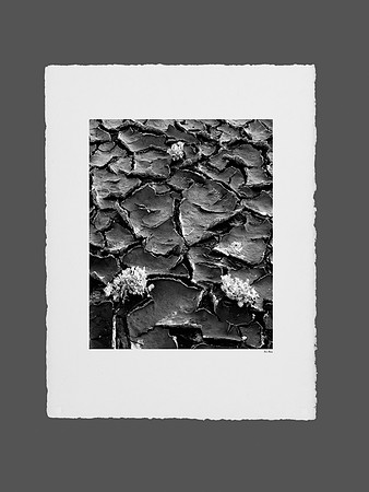 Tirage Edition Spéciale sur Arche Aquarelle Grain Fin 850gr