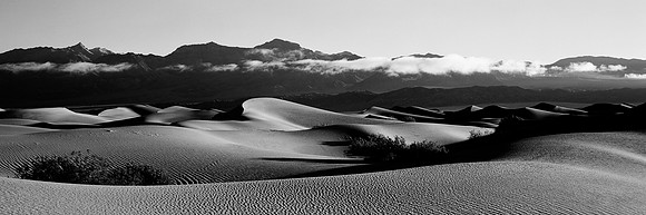 Mesquite Dunes