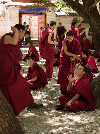 debates of monks boudistes V