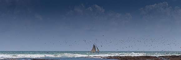 L'Envol