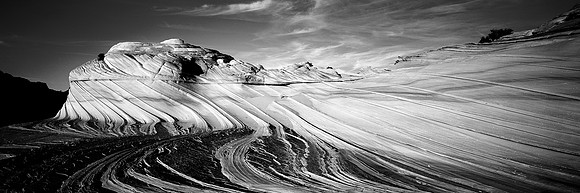 The Waves