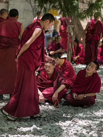 debates of monks boudistes VIII