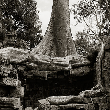 Temples d'Angkor 2