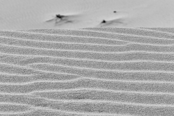 Dunes de Nha Trang III