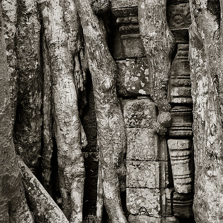 Temples d'Angkor 26