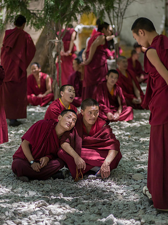 debates of monks boudistes VII