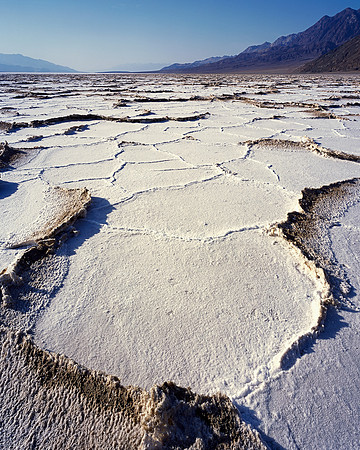 Polygon Salt
