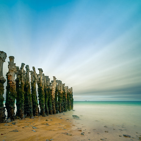 Les Protecteurs III