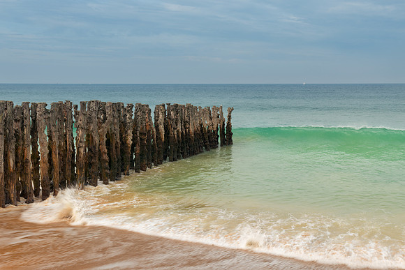 Les protecteurs et la Mer