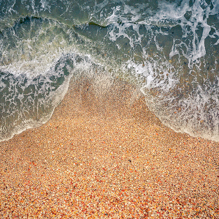 La plage de coquillages