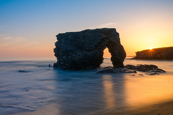The Elephant and the Sea