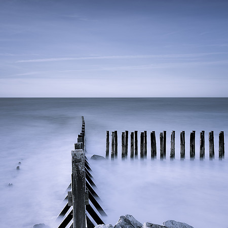 Silvery Glow XX
